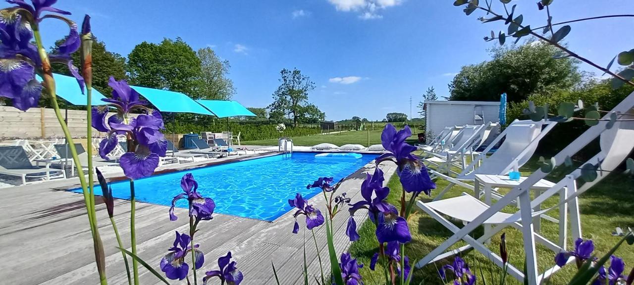 Villa Blue Garden B&B Vlaamse Ardennen Nabij Pairi Daiza Grammont Extérieur photo