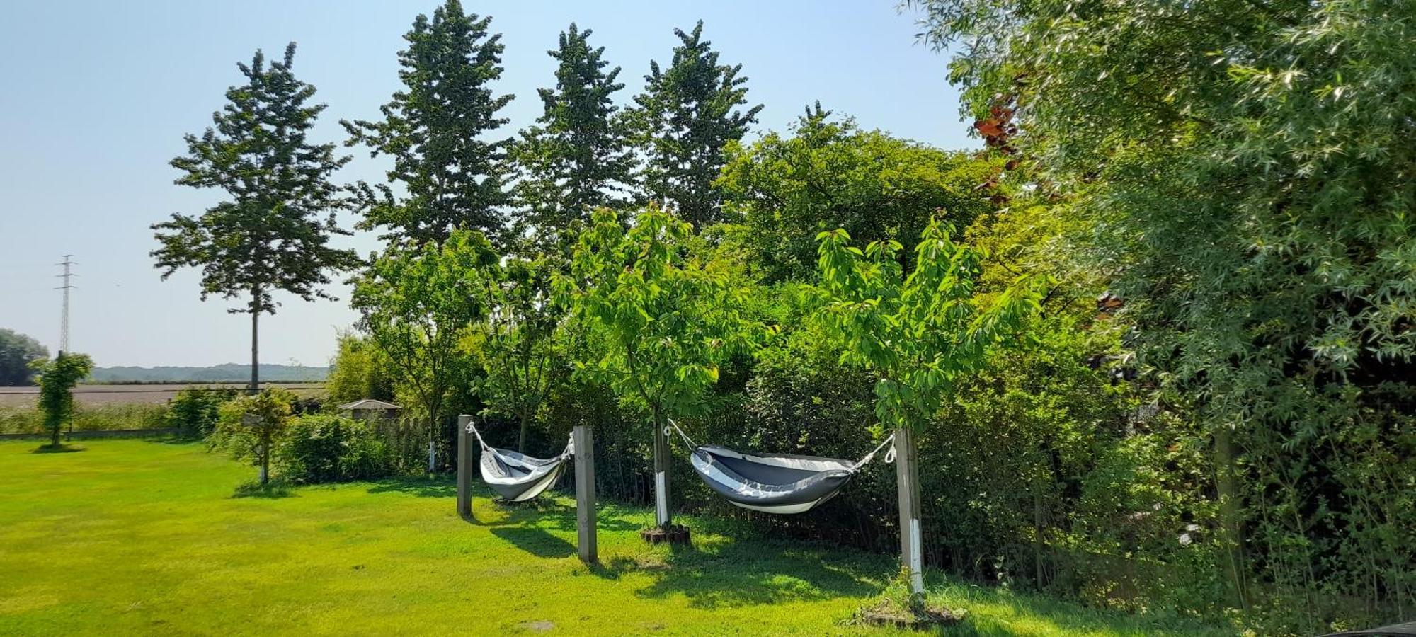 Villa Blue Garden B&B Vlaamse Ardennen Nabij Pairi Daiza Grammont Extérieur photo